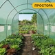 Посилена садова теплиця парник LEOBRO Garden 10м2 Green (LB-10M25) (LEO_LB-10M25) - изображение 8