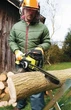 Пила цепная электрическая Ryobi rcs1935b, шина 35см Oregon, 1900Вт, 4.7кг 5133004338 - изображение 5