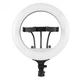 Кольцевая лампа Fill Light RL-14, Черный - 543176 - изображение 1