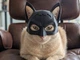 Маска Бэтмена для кота или собаки шлем Batman | Беткот - изображение 1