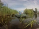 Надувний човен ПВХ Моторний Ладья Л-310М; 4-місний, з сланевим настилом, привальним брусом, колір зелений. - изображение 4