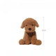 Мягкая игрушка JOOKI Кудрявый щенок Puppy 25 см Коричневый 40572 - изображение 4