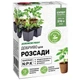 Удобрение Kvitofor Agronom Profi для рассады 250 г (68954) - изображение 1