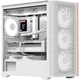 Корпус для ПК AeroCool D301A-G-WT-v2 Mini-Tower без БЖ MicroATX/Mini-ITX ARGB White (ACCS-DS03043.21) - зображення 2