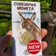 Монета Dobroznak Київський Зоопарк Віслюк КиївЗОО (3965) - изображение 2