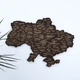 Мапа України настінна одношарова темна без коробки 55*38.5 см Гранд Презент 13 - изображение 1
