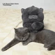 Подушка декоративна tbh Lazy Blue Cat з принтом 22х115 см Blue - зображення 3