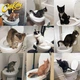 Система привчання котів до унітазу туалет для кота citi kitty cat toilet training - изображение 5