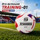 Футбольний м'яч TRAINING NF-01 №5 160820 - изображение 1