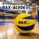 Волейбольний м’яч ВАХ – ALV 06 №5 160717 - изображение 1