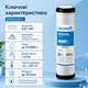 Змінний елемент Ecosoft 10 дюймів із брикетованим активованим вугіллям для видалення органіки та механіки - изображение 2