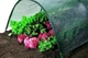 Сетка затеняющая Agrostar 60% универсальная отрезная 3 м Зеленый - изображение 7