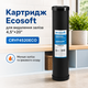 Змінний елемент Екософт Big Blue 20 для видалення заліза - изображение 1