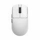 Мышь беспроводная VGN VXE Dragonfly R1 SE+ White (VXE-R1-SE-WH) - изображение 1