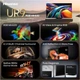 Телевізор Hisense 75UR9S - изображение 3