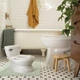 Горщик унітаз дитячий Ingenuity My Size Potty Pro, white - изображение 5