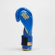 Боксерские перчатки Leone GN220 DNA Blue 16 унций (бинты 4 м. в комплекте) - изображение 7