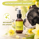 Парфум для собак та котів «Неповторний Нарцис» духи парфумована вода спрей з ароматом нарциса ProbioDay Bless 100 мл - зображення 4