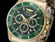 Часы мужские Invicta 48383 Pro Diver Master of the Oceans Gold 43 mm - изображение 1