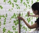 Самоклеючі 3D панелі плющ 70×77 см 4 мм - зображення 4