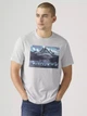 Футболка хлопковая мужская Levi`s 749219726 XL Серая (1159865473) - изображение 1
