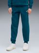Подростковые спортивные штаны для мальчиков Puma Essentials No.1 Logo 68491236 170-176 см Midnight Petrol (4070033455920) - изображение 1