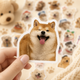 Стикеры собачки 33 шт, Dog Stickers - изображение 6