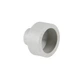 Муфта PPR Thermo Alliance 50х25 - зображення 1