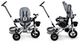 Rowerek trójkołowy EcoToys Delux JM-068-17 Szary (5903769970636) - obraz 12