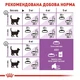 Сухий корм для стерилізованих кішок віком від 7 до 12 років Royal Canin Sterilised 7+ 10 кг (11743) - зображення 6