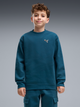 Подростковый спортивный костюм (свитшот + штаны) для мальчика Puma Essentials Elevated 69521836 170-176 см Midnight Petrol (4070033474129) - изображение 3