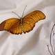 Комплект постільної білизни Moon&Star Бязь Gold Люкс Butterfly Dance King Size 220x240 наволочки 2х70х70 (MS-820013372) - зображення 7