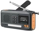 Радіо EXTRALINK Black Forest BT-4000 Black (5904960298451) - зображення 1