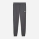 Спортивные штаны мужские Puma Essentials Seasonal 68471477 S Moody Gray (4070033474822) - изображение 1