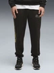 Спортивные штаны утеплённые мужские Puma Sport Street 69431901 XL Black (4070033378151) - изображение 1