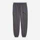 Спортивные штаны утеплённые мужские Puma Sport Street 69431934 S Moody Gray (4070033384930) - изображение 4