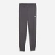 Спортивные штаны мужские Puma Essentials Graphics 68471377 S Moody Gray (4070033456248) - изображение 4