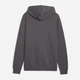 Худи утеплённое мужское Puma Essentials Foundation 68257134 S Moody Gray (4070033472149) - изображение 6