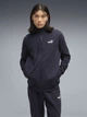 Спортивный костюм мужской утеплённый Puma Essentials 68817516 L New Navy (4070033447574) - изображение 3