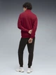 Спортивный костюм мужской утеплённый Puma Essentials 68817523 2XL Garnet Glow (4070033467978) - изображение 2