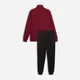 Спортивный костюм мужской утеплённый Puma Essentials 68817523 2XL Garnet Glow (4070033467978) - изображение 5