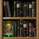 Бук Нук Зміїний будинок Book Nook Snake House SQ-41 DIY Інтер'єрний конструктор - изображение 2