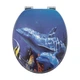 Сидіння для унітаза з кришкою м'яке 17" R40137 - зображення 1