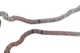 Комплект цепи ГРМ Mini (R50/R52/R53) 1.6 01-07 559183120 , Schaeffler INA - изображение 3