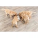 Миска Trixie Puppy Bowl для цуценят з нержавіючої сталі, 1,4л (TX-25281) - изображение 5