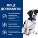 Hill's Prescription Diet i/d Stress Mini ActivBiome+ корм для собак з проблемами травлення, пов'язані зі стресом (1 кг) - зображення 4