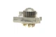 Комплект ГРМ + помпа Renault Clio III/Laguna III/Megane III/ Scenic III 1.6 16V 05- (27.4x132z) CT1179WP4 , Continental - изображение 7