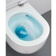 Унітаз підвісний Catalano Sfera 55х35 з кришкою Soft close bianco satinato (0511550021_0551200021_9056060000) - изображение 3