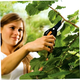 Плоскостной секатор 20.8 см для сада нержавеющая сталь Fiskars HM-0050 - изображение 9