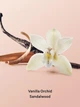 Масло для тела с шиммером Victoria's Secret Vanilla Orchid Sandalwood Shimmer Body Oil арт. 30392 - изображение 2